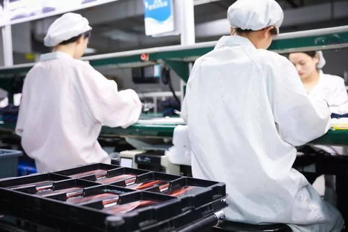 iQOO現(xiàn)貨供應引熱議，網友喊話小米加快節(jié)奏